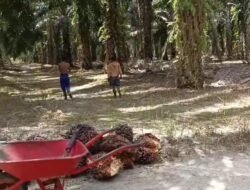 Rakyat Kecil Dijerat, Konglomerat Melenggang Diaset Sitaan! 