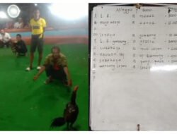 Sangat Disayangkan Denpom Dan Polres Lamongan Tidak Menindak Tegas Adanya Arena Judi Sabung Ayam  Wilayahnya